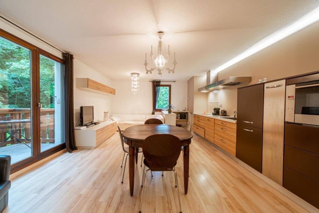 アヌシーPromenade Furnished Flatアパートメント エクステリア 写真